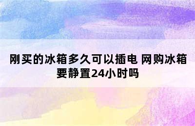 刚买的冰箱多久可以插电 网购冰箱要静置24小时吗